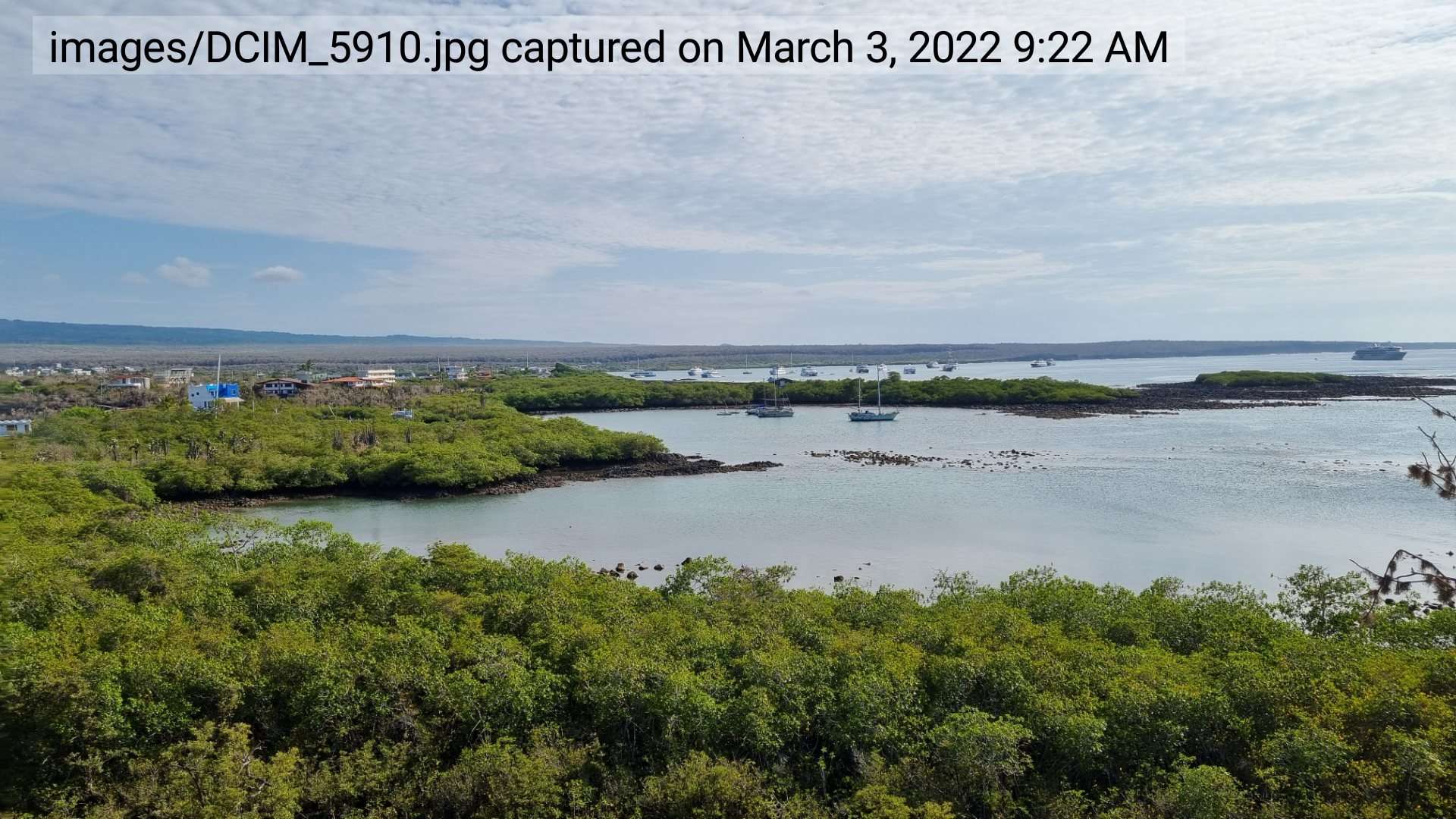 Example of the description text